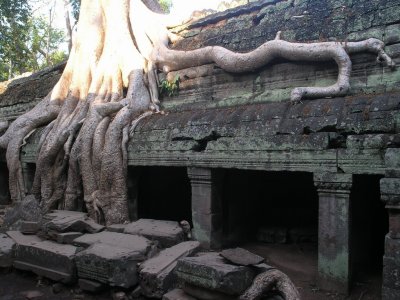 Ta Prohm