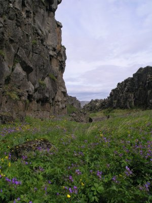 inside a big fissure at Pingvellir NP