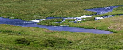 blue river on the way to Godafoss