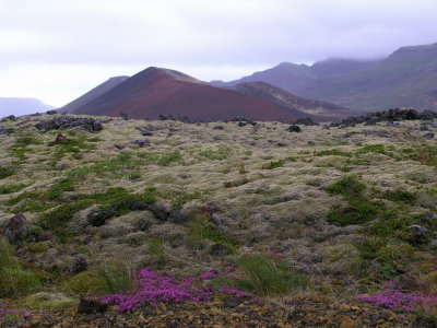 Berserkjahraun area with Raudholar in the back