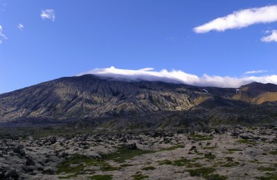 Snaefell with moss