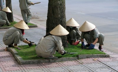 cutting grass