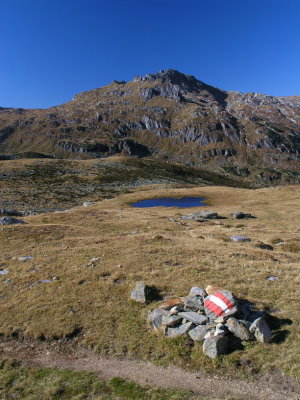 Zinkwand 2010