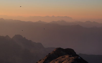 g1/62/609462/3/146291502.S7CCJGwM.jpg