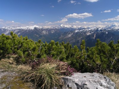 Blick Richtung Hoher Gll