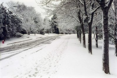 Snow street Reala