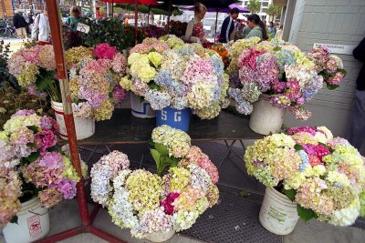 Flower store in SF warf Reala