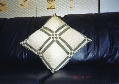 cushion 3