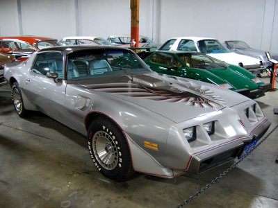10th Anniversary 1979 Trans Am with silver leather seats like Kid Rock had in Joe Dirt.