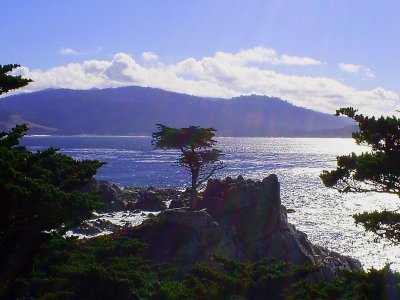 The Lone Cypress at Pebble Beach daytime shot