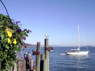 Sausalito, CA