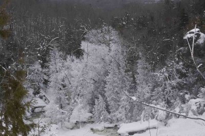 Inglis Falls-080223-013.jpg