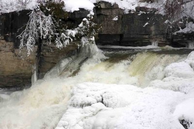 Inglis Falls-080223-042.jpg