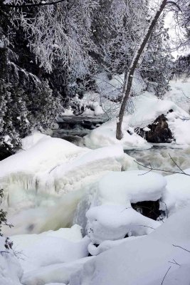 Inglis Falls-080223-074.jpg