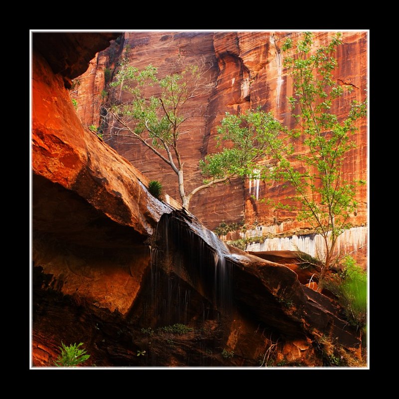 Zion Serenity