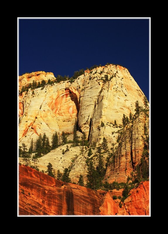 Zion Color