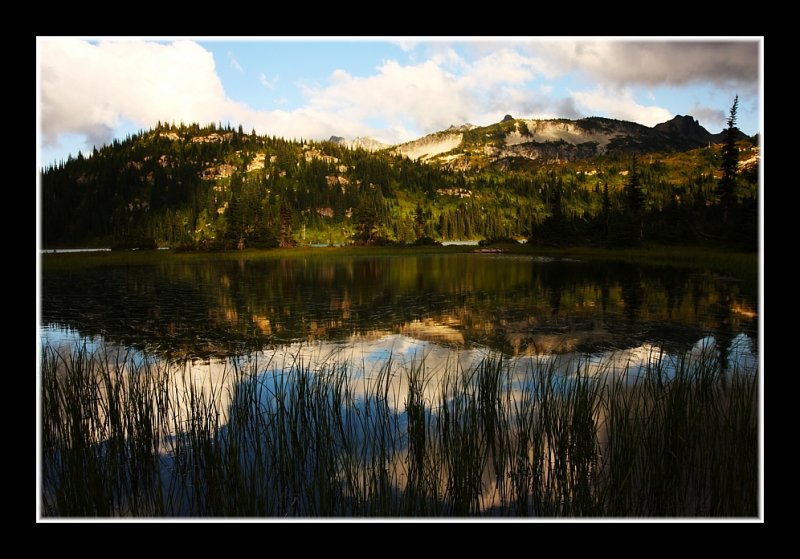 Cascade Reflections