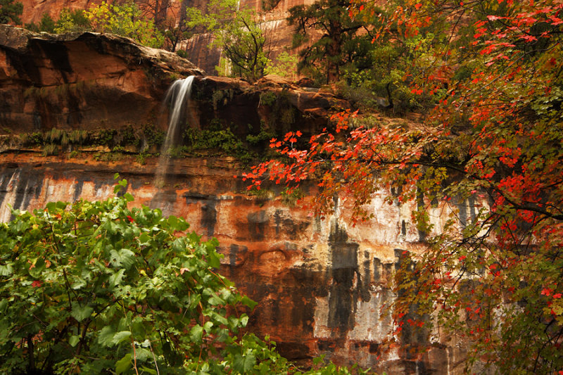 Autumn Gift of Natural Beauty