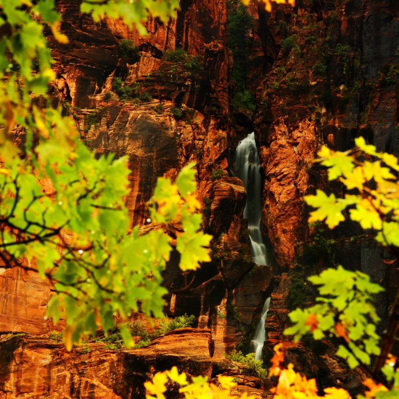 Through Autumn's Window