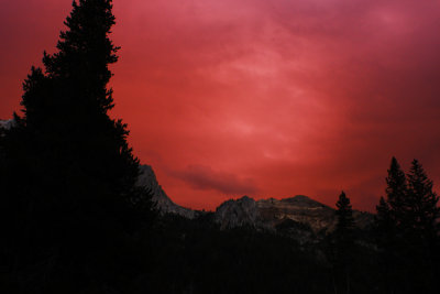 g1/62/657162/3/127476783.Q95F81Ol.jpg