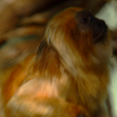 g1/62/657162/3/129709578.YDOzafP2.jpg