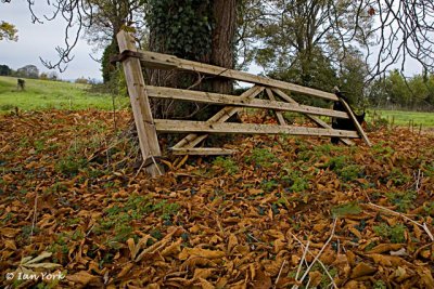 Entry to Autumn