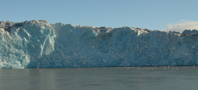 Monacoglacier-