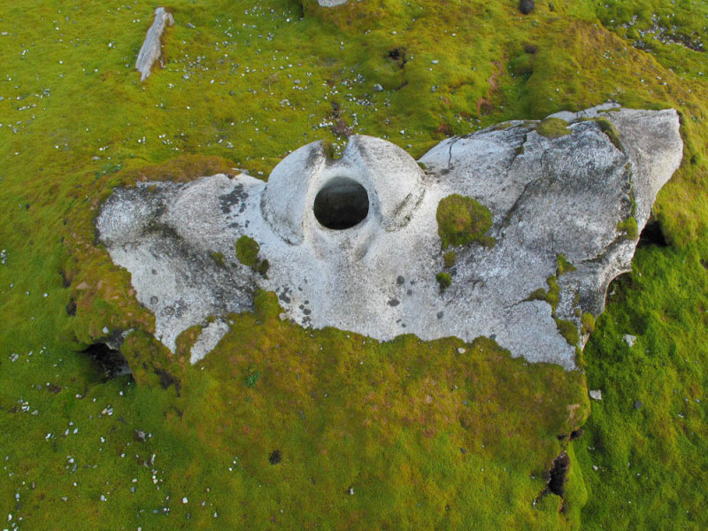 Bowhead skull