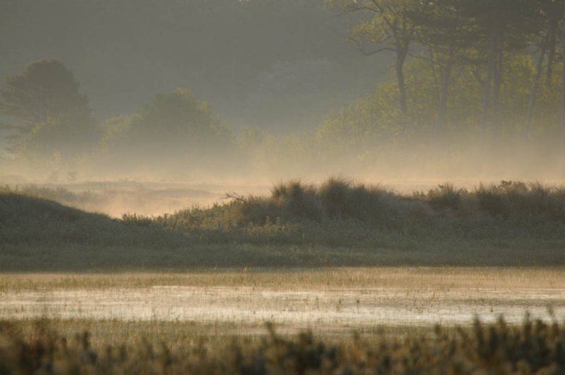  North-Holland Dune Reserve