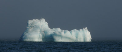  glacier-ice floating at sea