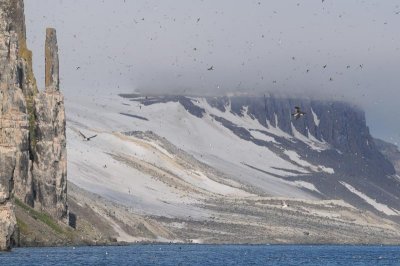  Alkenfjellet  - Spitsbergen