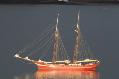Noorderlicht  2010