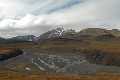 Colouring tundravegetation