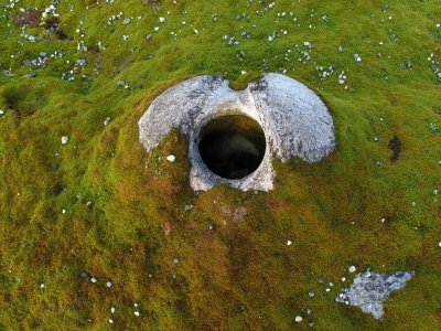 Bowhead skull