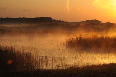   Early-morning mist  Holland