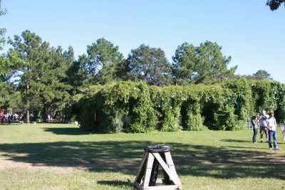 IMG_0024.JPG