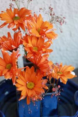 IMG_0353.jpg