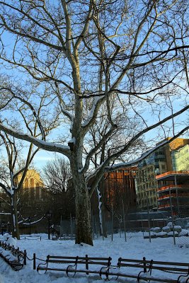 Winterscape