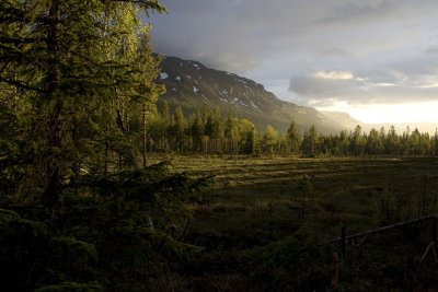 Landscape