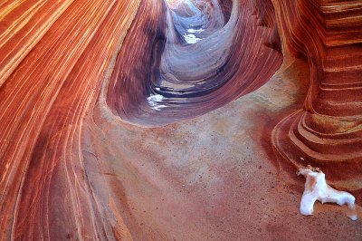 The Wave January 2009