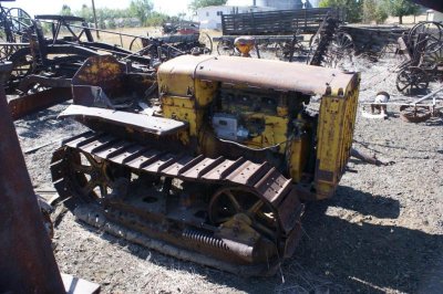 Cat-01.JPG