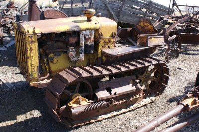 Cat-03.JPG