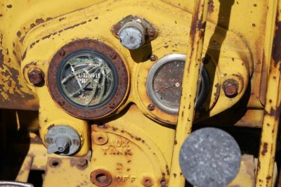 Cat-05.JPG