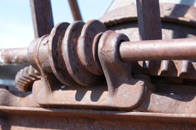 Worm gear