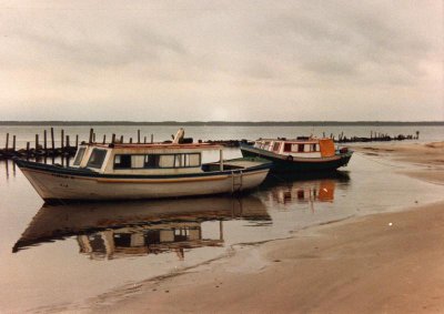 More fishing boats