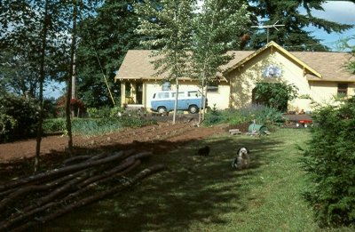 View of house from garden