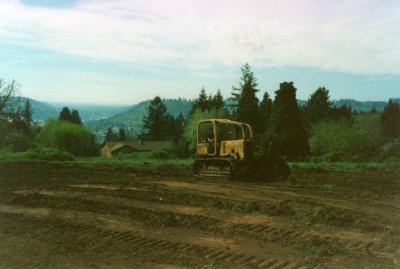 Clearing the land