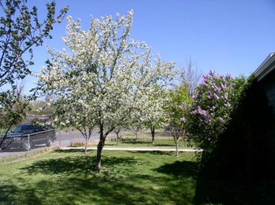 P1010008-09.jpg