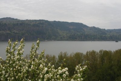 IMG_0992.JPG