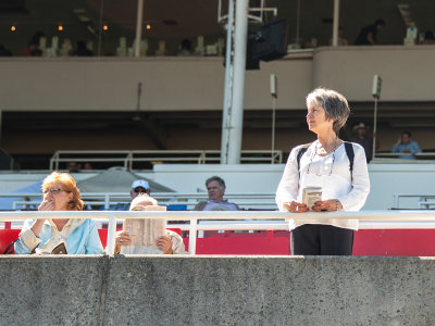 In the Stands